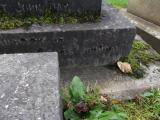 image of grave number 171106